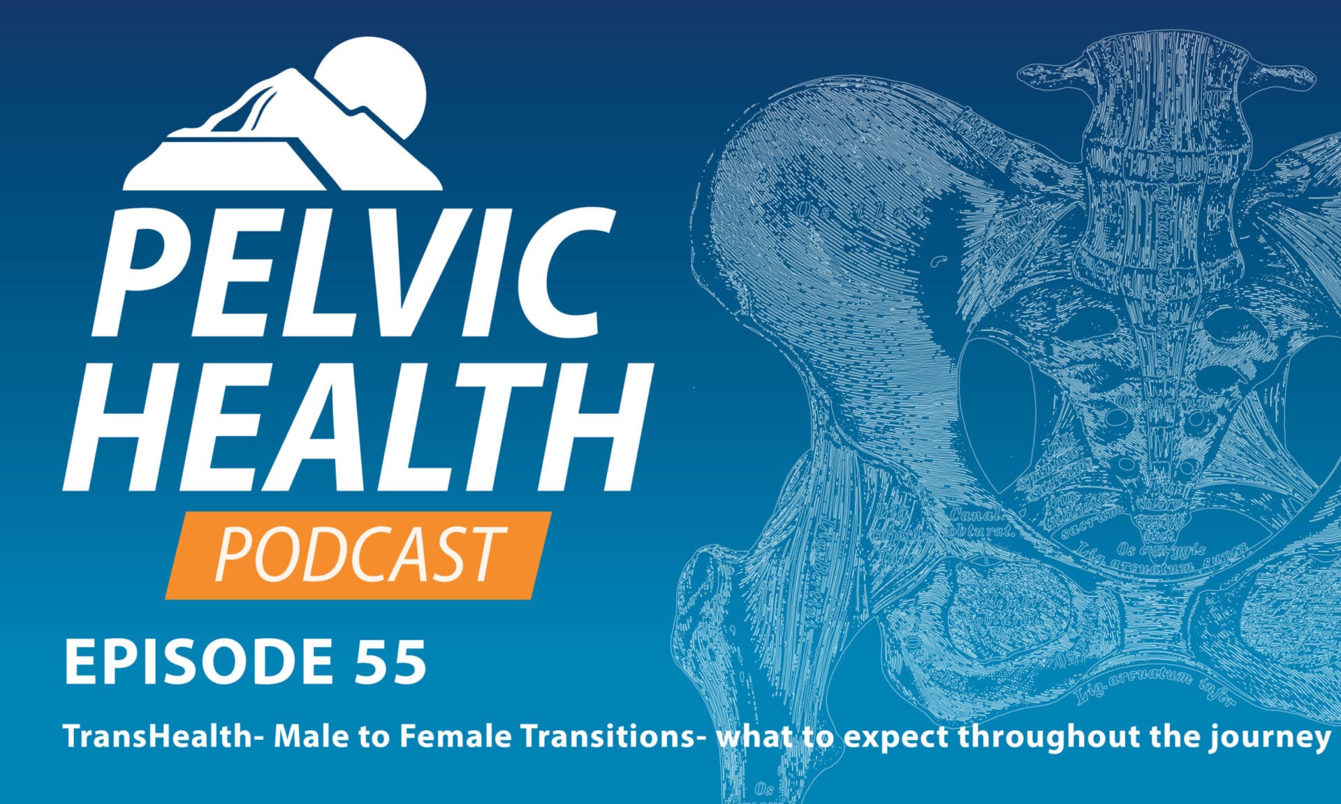 TransHealth- Male to Female Transitions- what to expect throughout the journey