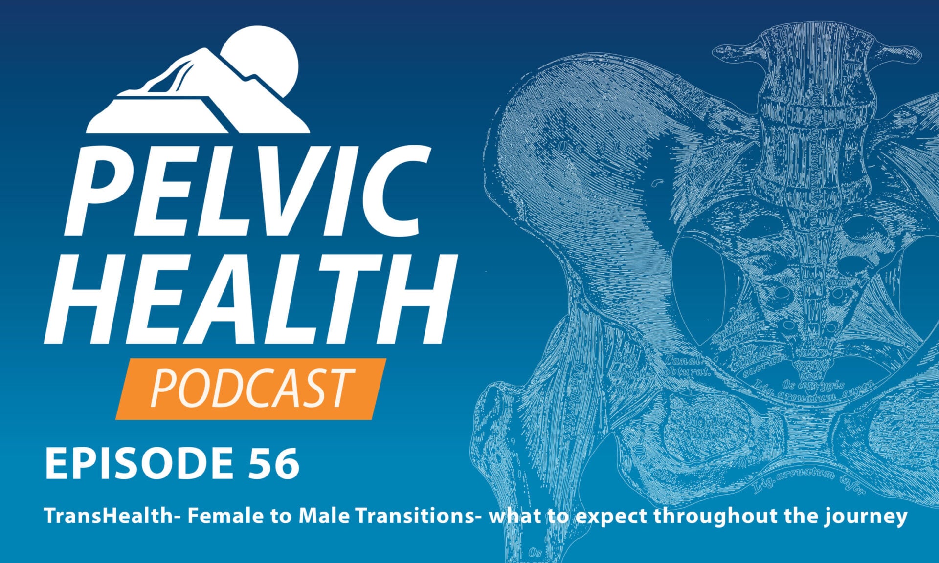 TransHealth- Female to Male Transitions- what to expect throughout the journey